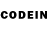 Псилоцибиновые грибы GOLDEN TEACHER Adilkhan Karjhauov