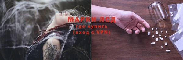 прущие грибы Балахна