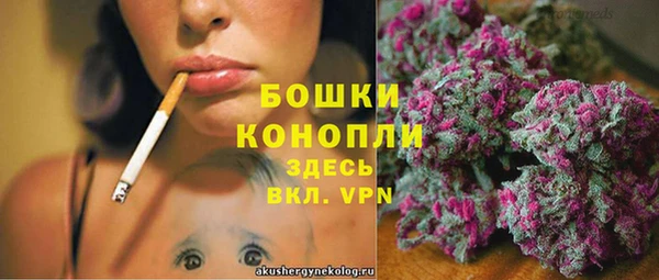 шишки Беломорск